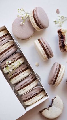 macaroons and other pastries are arranged on a white surface, including one half eaten