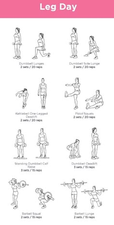 an exercise poster with instructions to do the leg day, including exercises for beginners