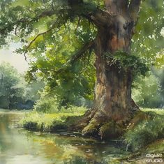 a painting of a tree next to a river