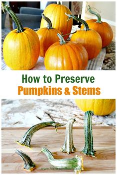 how to preserve pumpkins and stems