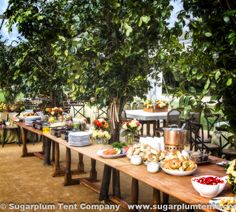 a long table with food on it under trees