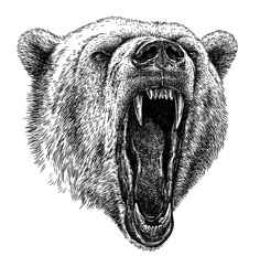 an angry bear's head with its mouth open