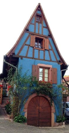 a blue house with wooden shutters on the front and side windows, has vines growing out of it