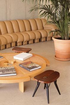 a living room filled with furniture and a potted plant on top of a table