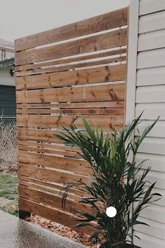 a potted plant sitting next to a wooden fence