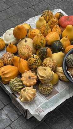 a bunch of gourds sitting on top of a newspaper