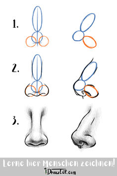 how to draw the nose and feet with colored pencils step by step instructions for beginners