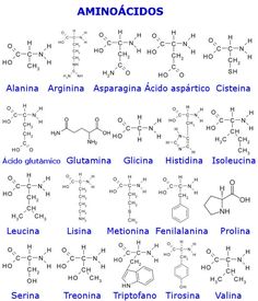 an image of the names of different types of vitamins and their respective flavors in spanish