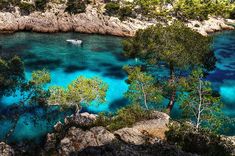 the water is crystal blue and clear with boats floating on it's sides, surrounded by trees