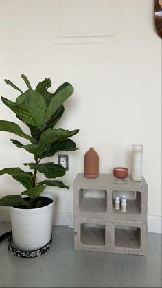 a potted plant sitting next to a concrete shelf