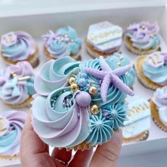 a hand holding a cupcake decorated with pastel blue and purple frosted icing