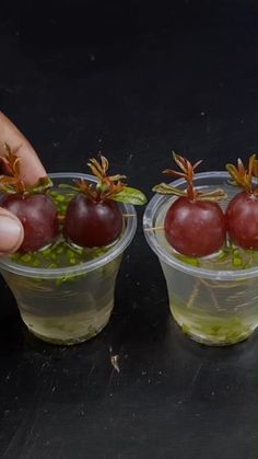 two small plastic cups filled with green and red vegetables on top of a black surface