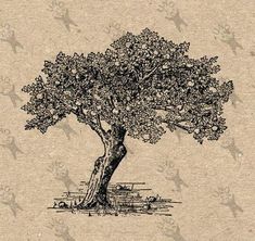 a drawing of a tree with birds around it