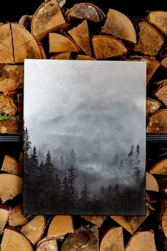 a black and white photo with trees in the background, surrounded by firewood logs