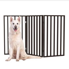 a white dog is sitting in front of a black gate that has bars on it