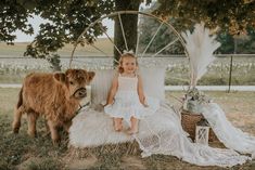 Pig Photography, Instagram Photo Prop, Pig Photo, Mini Highland Cow, Fall Photoshoot Family, Easter Mini Session