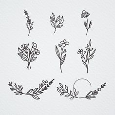 flowers and leaves drawn in black ink on white paper