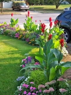 a flower garden in front of a car parked on the side of the road with lots of flowers around it