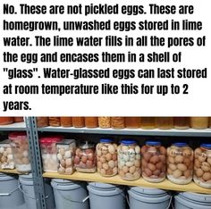 Eggs stored in a lime wither into containers(jars) Chicken Keeping Hacks, Lime Water, Pickled Eggs, Backyard Chicken Farming, Emergency Prepping, How To Store, Off Grid Living, Survival Prepping