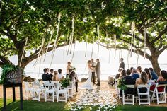 a couple getting married under a tree by the ocean with their wedding party in chairs