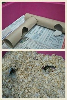 two pictures showing the inside and outside of a cardboard box filled with shredded paper, next to an image of a rolled up newspaper