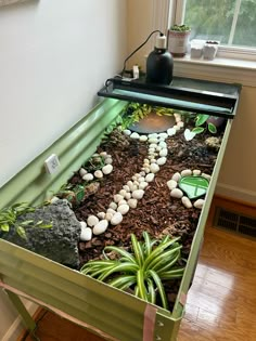 a green table with rocks and plants in the middle on top of wood flooring