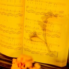 an open book with sheet music and flowers in front of it on a table next to a window