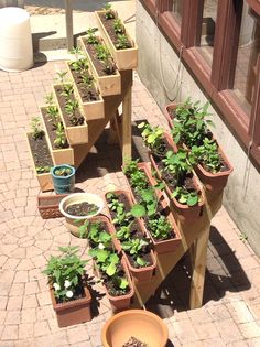 there are many potted plants on the sidewalk