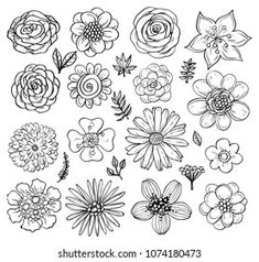 black and white flowers set for coloring on the page stock photo, images and royalty