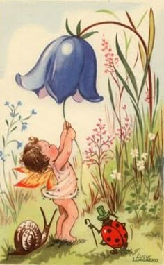 Creature Fantasy, Fairy Illustration, Fotografi Vintage, Fairy Pictures, Cicely Mary Barker, Baby Fairy, Vintage Fairies, Fairy Magic, Flower Fairies