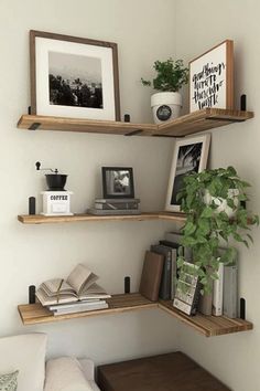 some shelves with pictures, books and plants on them in a living room or bedroom