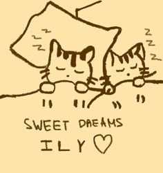 a drawing of two cats sleeping on top of a pillow with the words sweet dreams fly above them