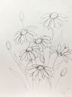 a drawing of some flowers on a white paper