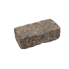 a rock is shown against a white background