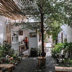 the inside of a house with lots of plants and potted plants on the outside