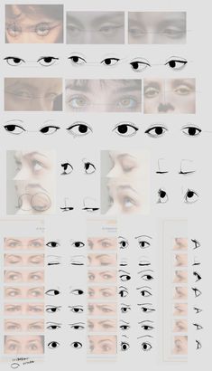 an image of various types of eyes with different shapes and sizes, including the eyelide