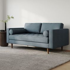 a blue couch sitting on top of a wooden floor next to a potted plant