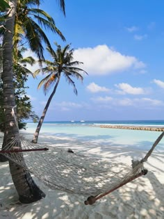 a hammock hanging between two palm trees on the beach