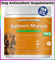 Munchy Chomps Salmon Oil for Dogs - Coat Health & Immunity Boost with Omega 3 Fatty Acids & Antioxidants - Promotes Radiant C Dogs Coat, Immunity Boost, Dog Wellness, Salmon Oil, Oils For Dogs, Omega 3 Fatty Acids, Immune Boosting, Dog Coats, Omega 3