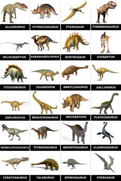 an image of different types of dinosaurs