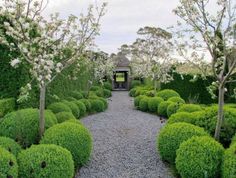 a garden with lots of bushes and trees in the center, surrounded by gravel path