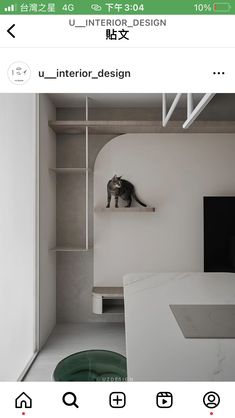 a cat sitting on top of a shelf in a room