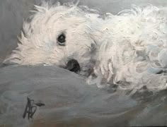 a painting of a white dog laying on top of a gray blanket with his head down