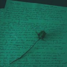 a piece of paper with writing and a rose on it, sitting on a table