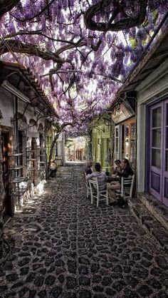 people sitting at tables in an alley way with wistery trees on the ceiling