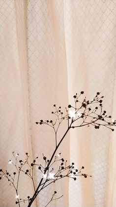 a vase with some flowers in it sitting on a table next to a white curtain