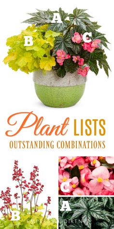 different types of plants with the words plant lists outlining combinations in front of them