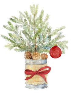 a watercolor painting of a pine tree in a tin can with a red bow