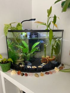 an aquarium filled with plants and rocks on top of a white table next to a plant pot