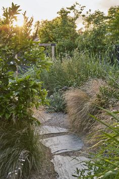 a stone path surrounded by tall grass and trees